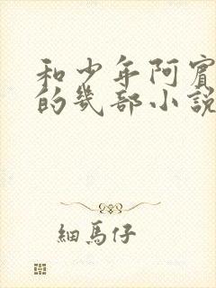 和少年阿宾齐名的几部小说