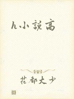 h小说高