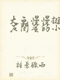 大龟慢慢挺进女友闺蜜的小说