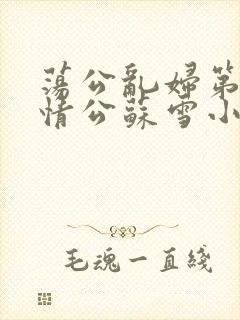 荡公乱妇第1章情公苏雪小说