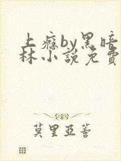 上瘾by黑暗森林小说免费