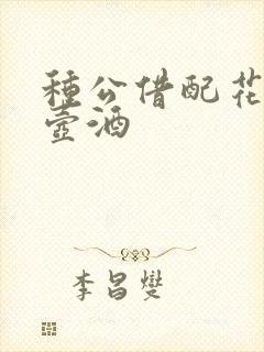 种公借配花间一壶酒