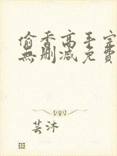 偷香高手完整版无删减免费封面