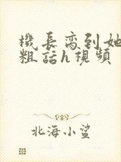 机长脔到她哭h粗话h视频