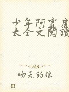 少年阿宾房东太太全文阅读