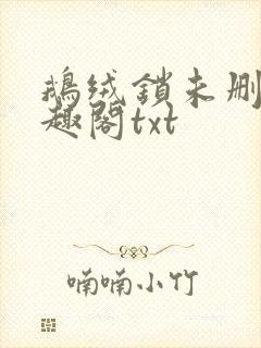 鹅绒锁未删除笔趣阁txt