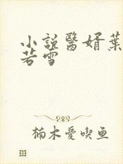 小说医婿叶凡唐若雪