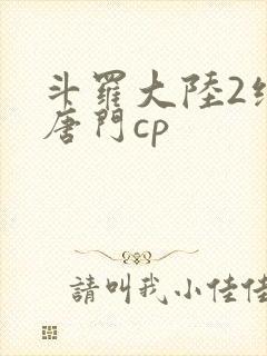 斗罗大陆2绝世唐门cp封面