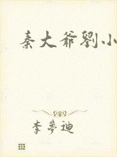 秦大爷刘小静封面