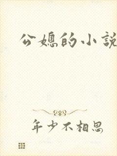 公媳的小说
