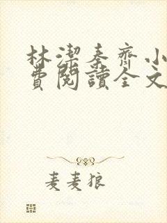 林洁秦齐小说免费阅读全文最新章节