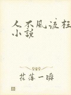 人不风流枉少年小说封面
