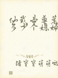 仙武帝尊叶辰有多少个媳妇