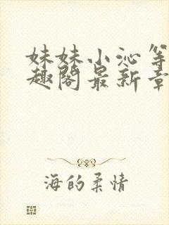 妹妹小沁等级笔趣阁最新章节封面