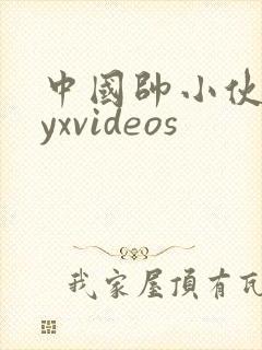 中国帅小伙gayxvideos封面