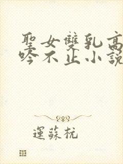 圣女双乳高耸呻吟不止小说封面