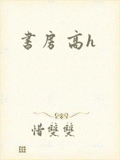 书房 高h