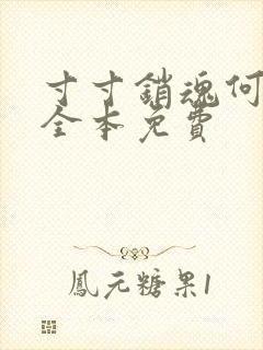 寸寸销魂何生祥全本免费