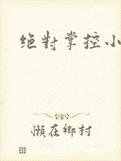 绝对掌控小说封面