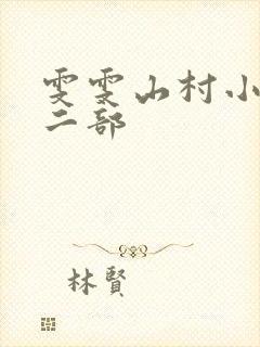 雯雯山村小说第二部封面