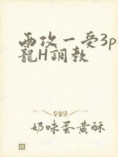 两攻一受3p双龙H调教
