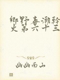 乡野春潮干柴烈火第六十三章