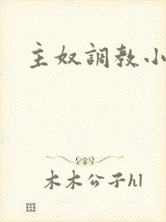 主奴调教小说封面