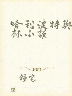 哈利波特与火焰杯小说