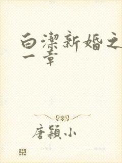 白洁新婚之夜第一章