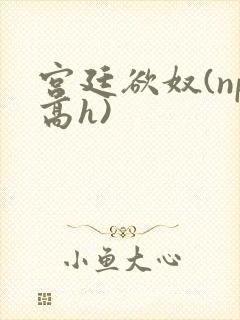 宫廷欲奴(np高h)