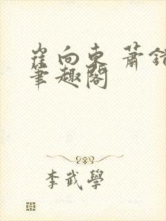 崔向东 萧错 笔趣阁