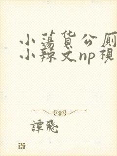 小荡货公厕h文小辣文np视频封面