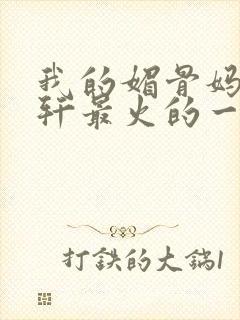 我的媚骨妈妈林轩最火的一句