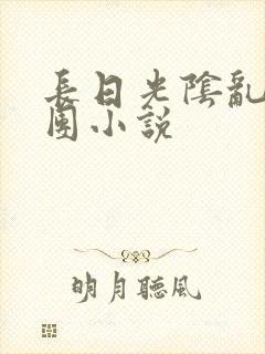 长日光阴乱作一团小说封面