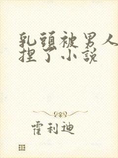 乳头被男人使劲捏了小说