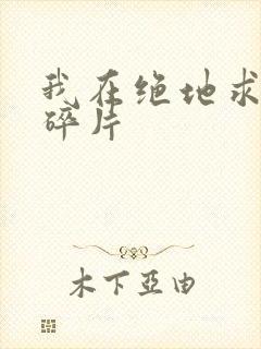 我在绝地求生捡碎片封面