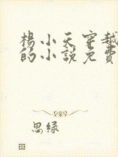 杨小天穿越武魂的小说免费阅读无弹窗