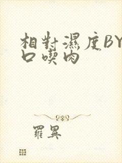相对湿度BY大口吃肉封面