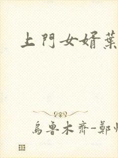 上门女婿叶辰封面