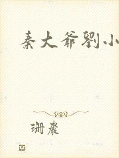 秦大爷刘小静封面