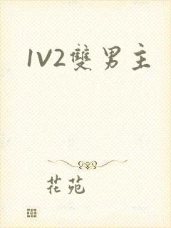 1V2双男主