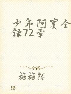 少年阿宾全文目录72章