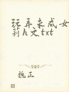 玩弄未成女小箩莉h文txt