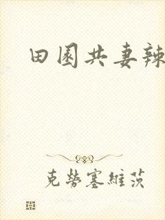 田园共妻辣封面