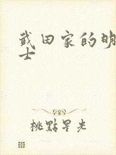 武田家的明国武士