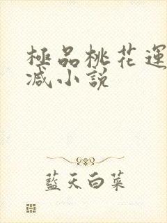 极品桃花运未删减小说