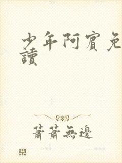 少年阿宾免费阅读封面