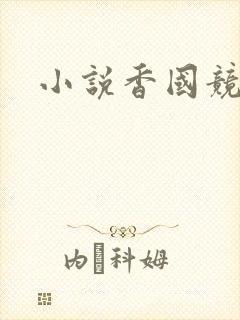 小说香国竞艳