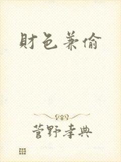 财色兼偷封面