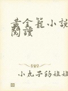 黄金笼小说免费阅读